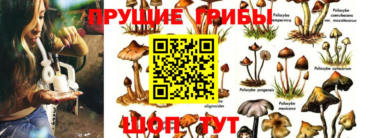 Псилоцибиновые грибы ЛСД Солнечногорск